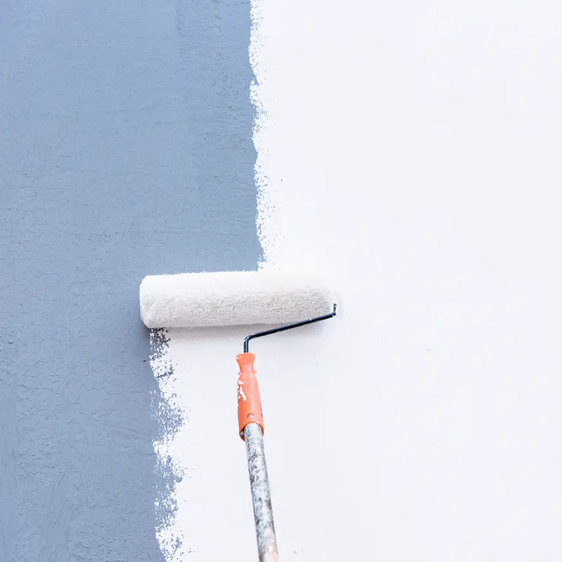 Professional wall priming service in San Diego
